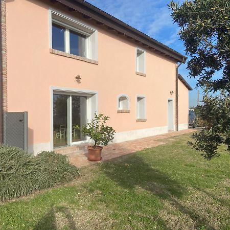 Maison d'hôtes Rio Sabbioso à Dozza Extérieur photo