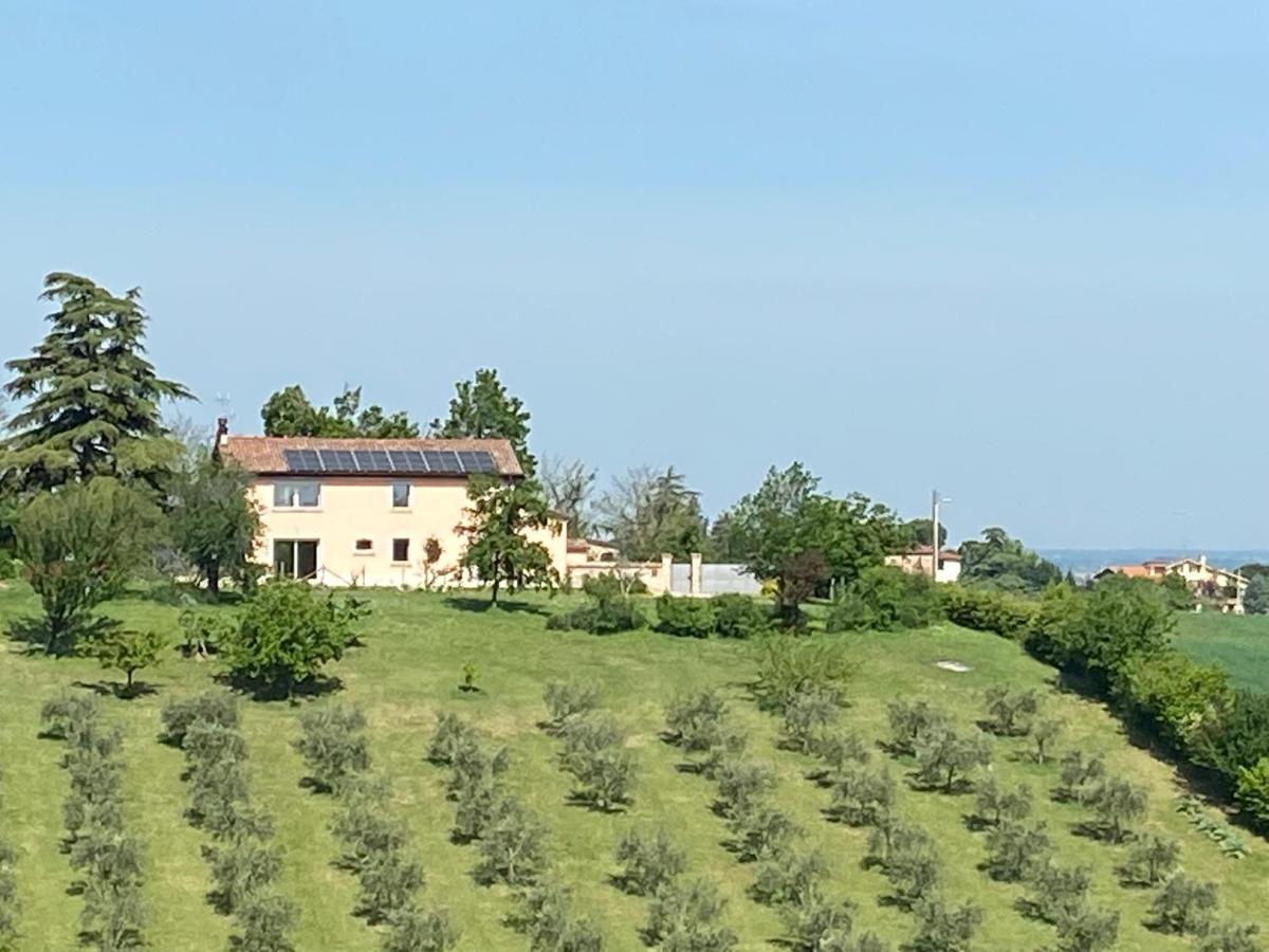 Maison d'hôtes Rio Sabbioso à Dozza Extérieur photo